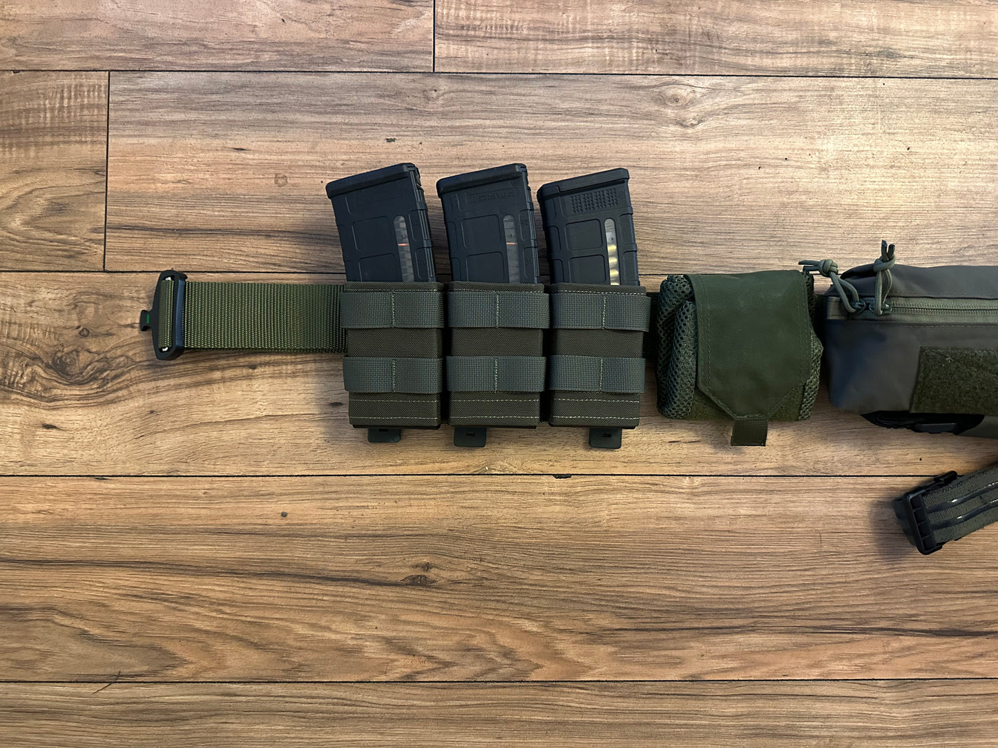 Shooter belt in Ranger Green